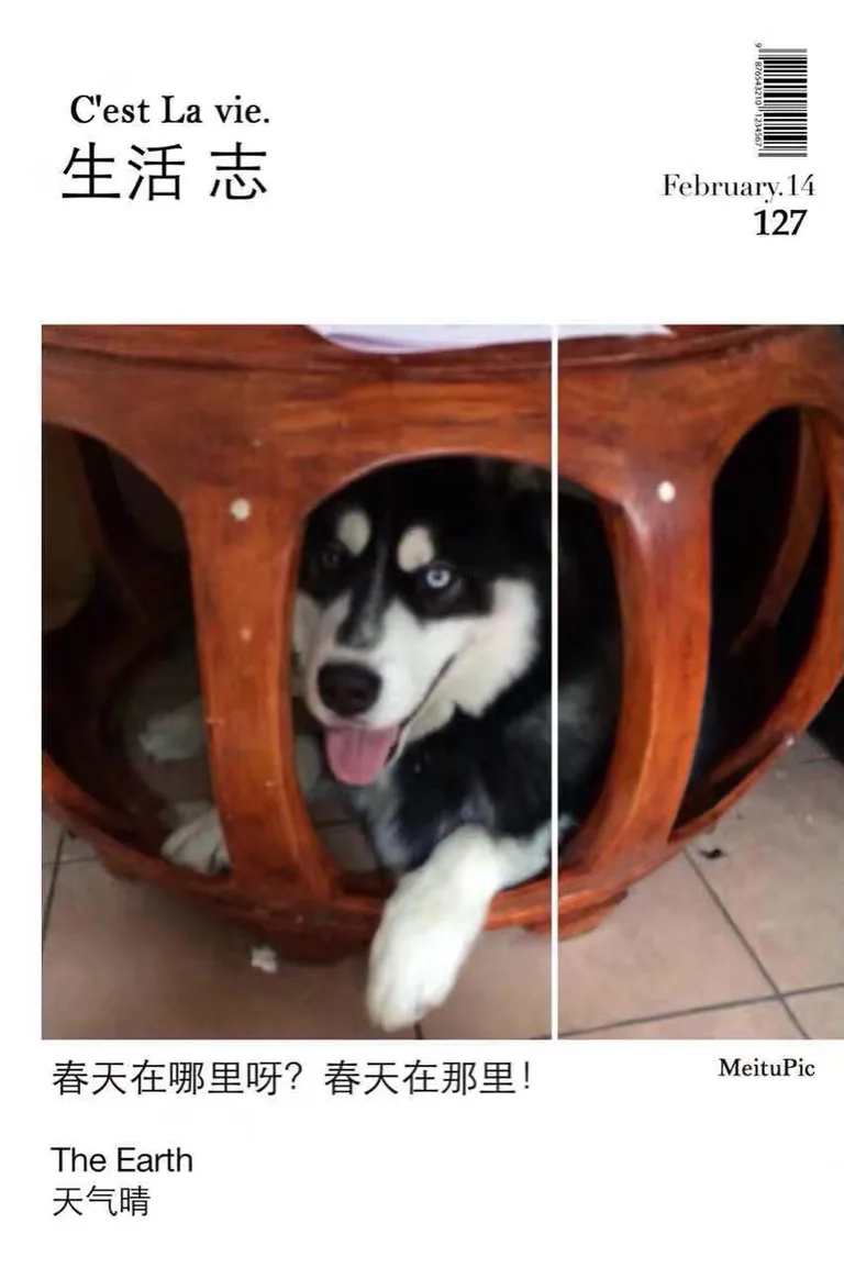 Toto