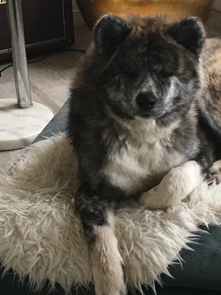 maoki