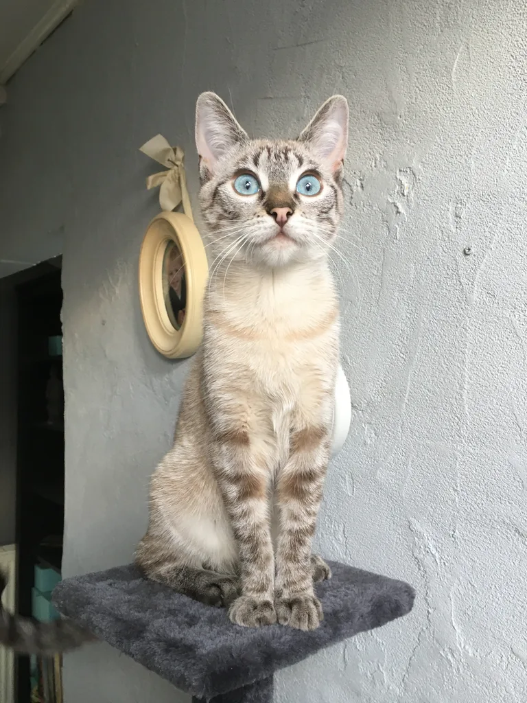 Lucifer/lulu