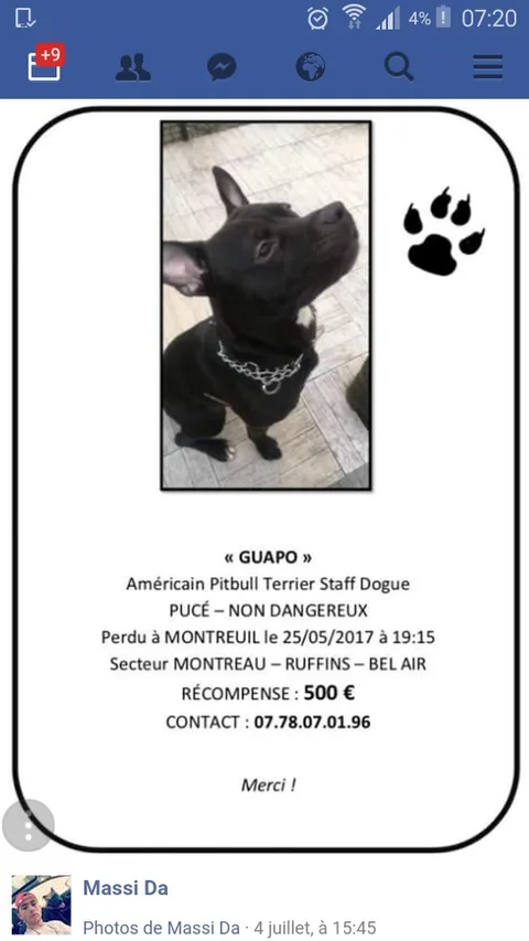 Guapo