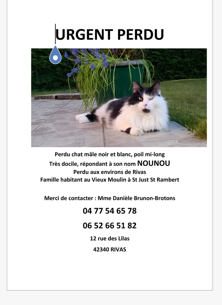 Nounou