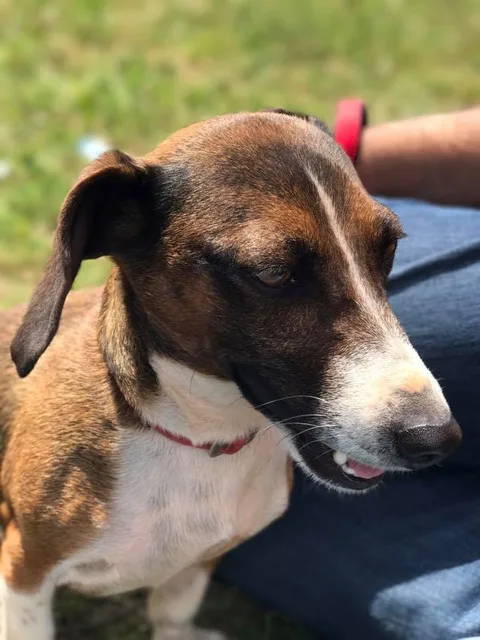 Charlie