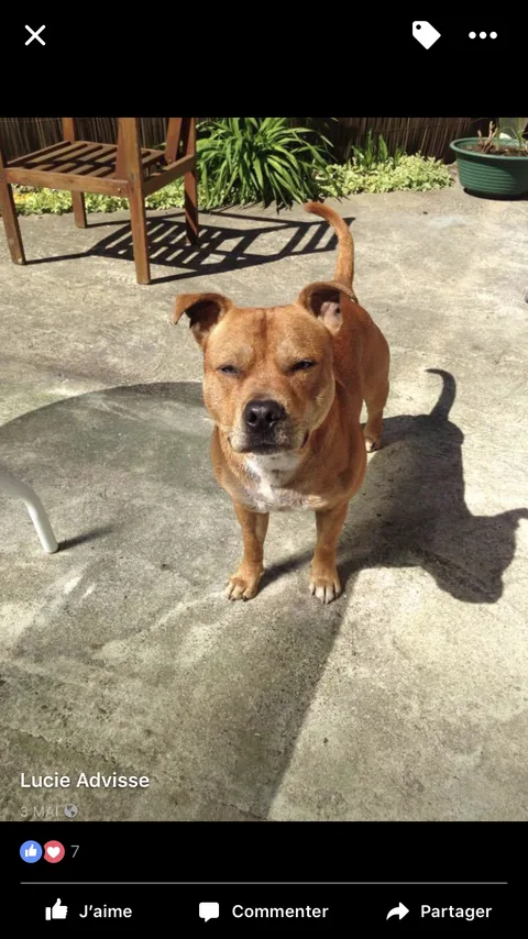 Laiko