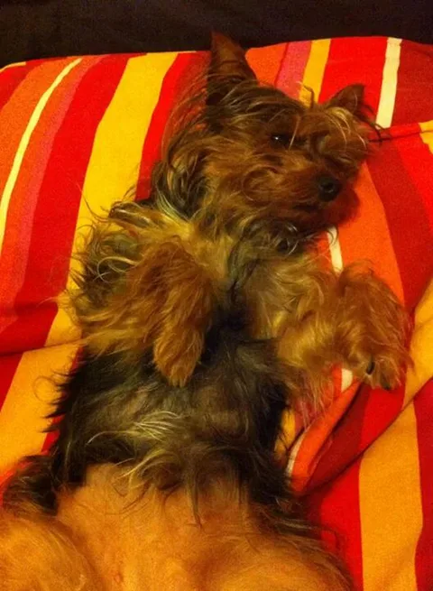 Tilly
