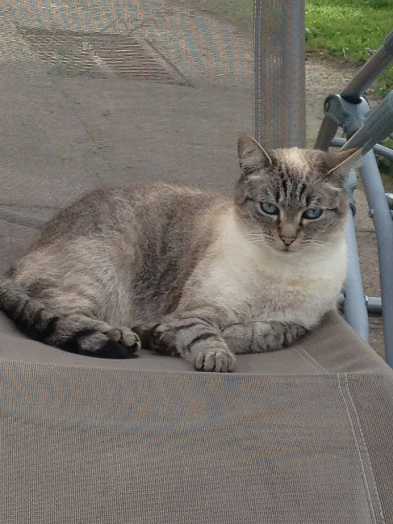 Maïwen