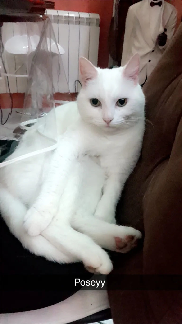 Kira