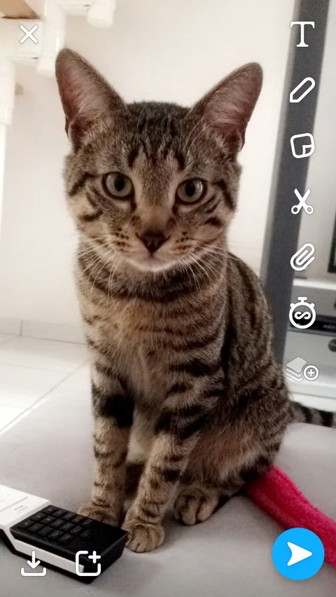 Filou