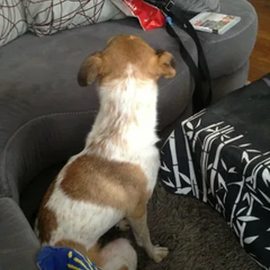 Photo 2
