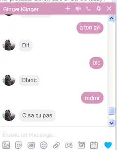 Chat perdu Européen