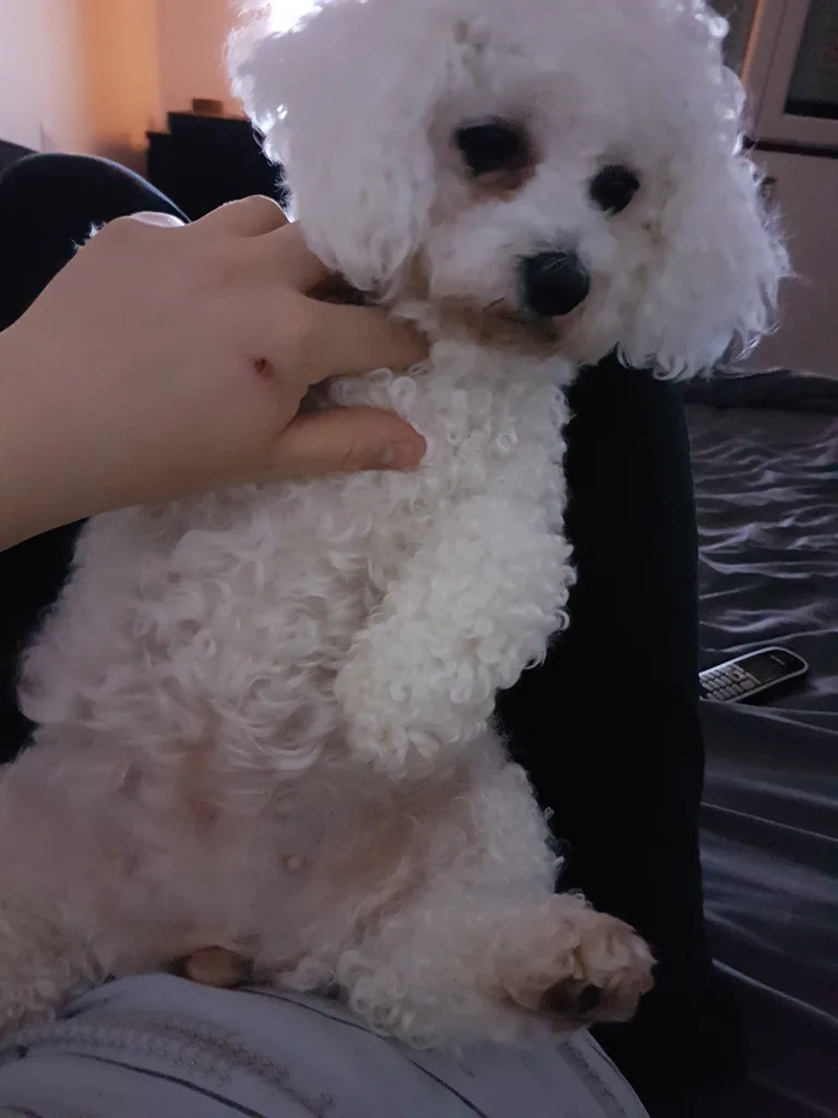 Lilou
