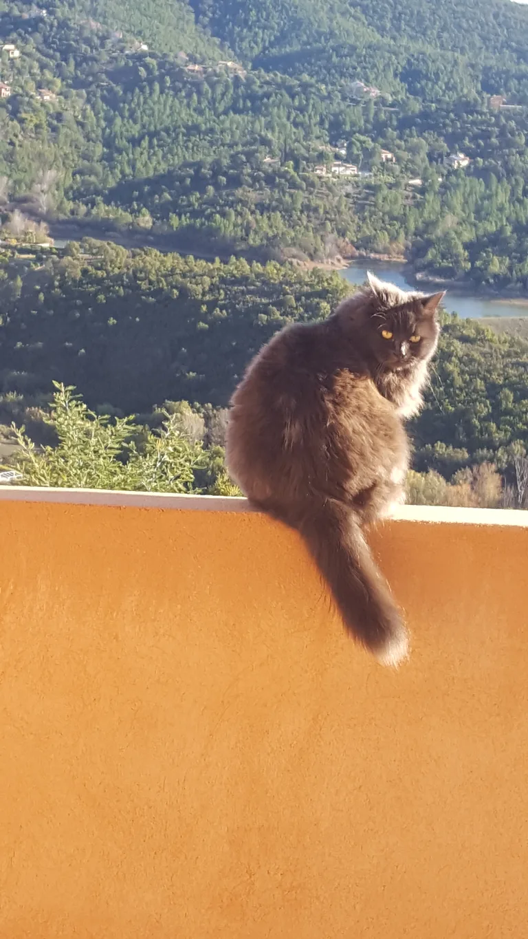 ashka