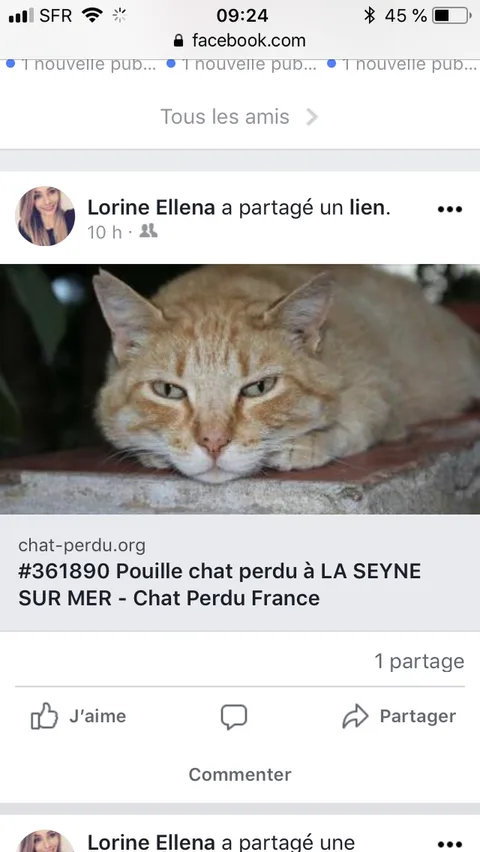 Poupouille