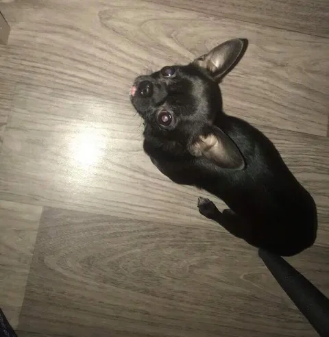 Naya