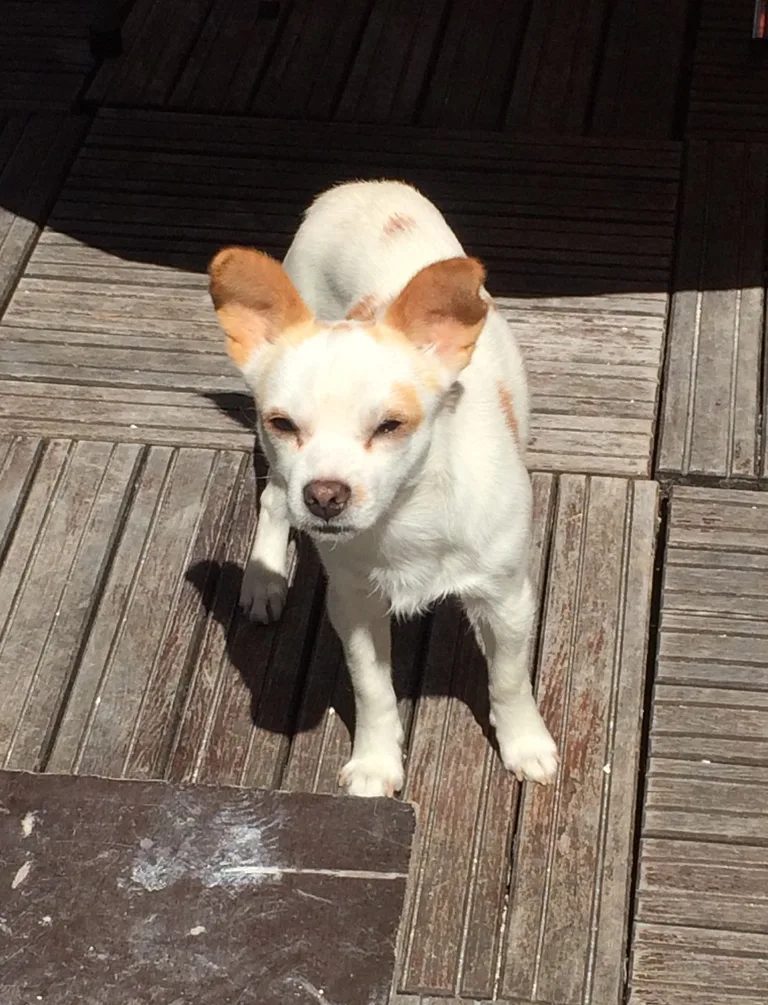 Max