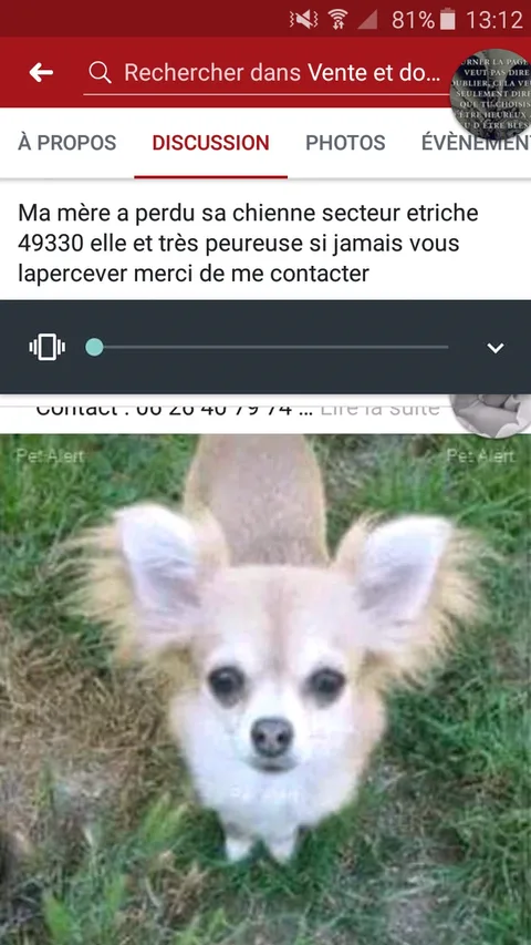 Laya