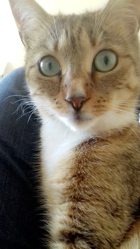 Martha