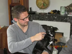 Chien perdu Ratier pragois