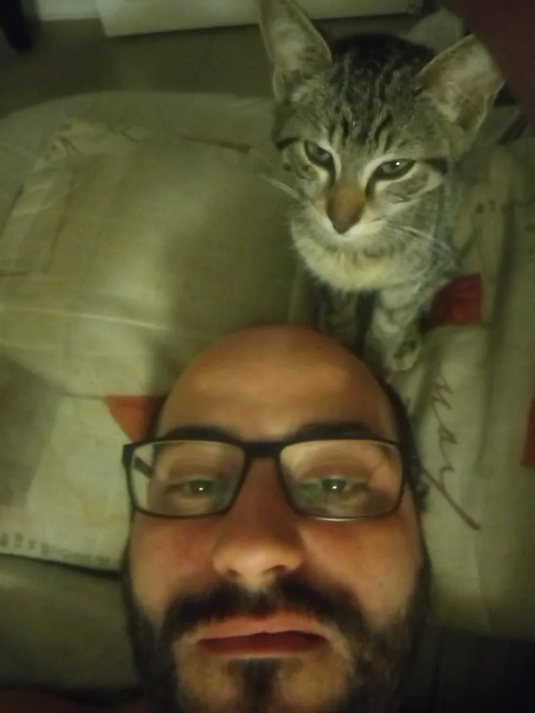 Chat trouvé