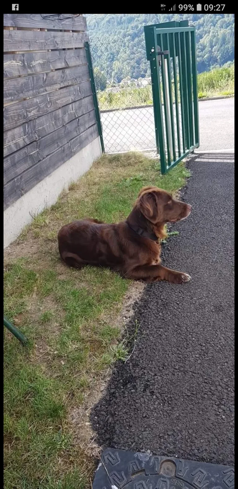 MYA
