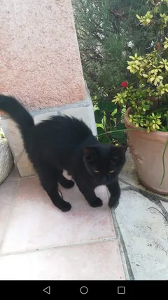 Chat perdu Bombay