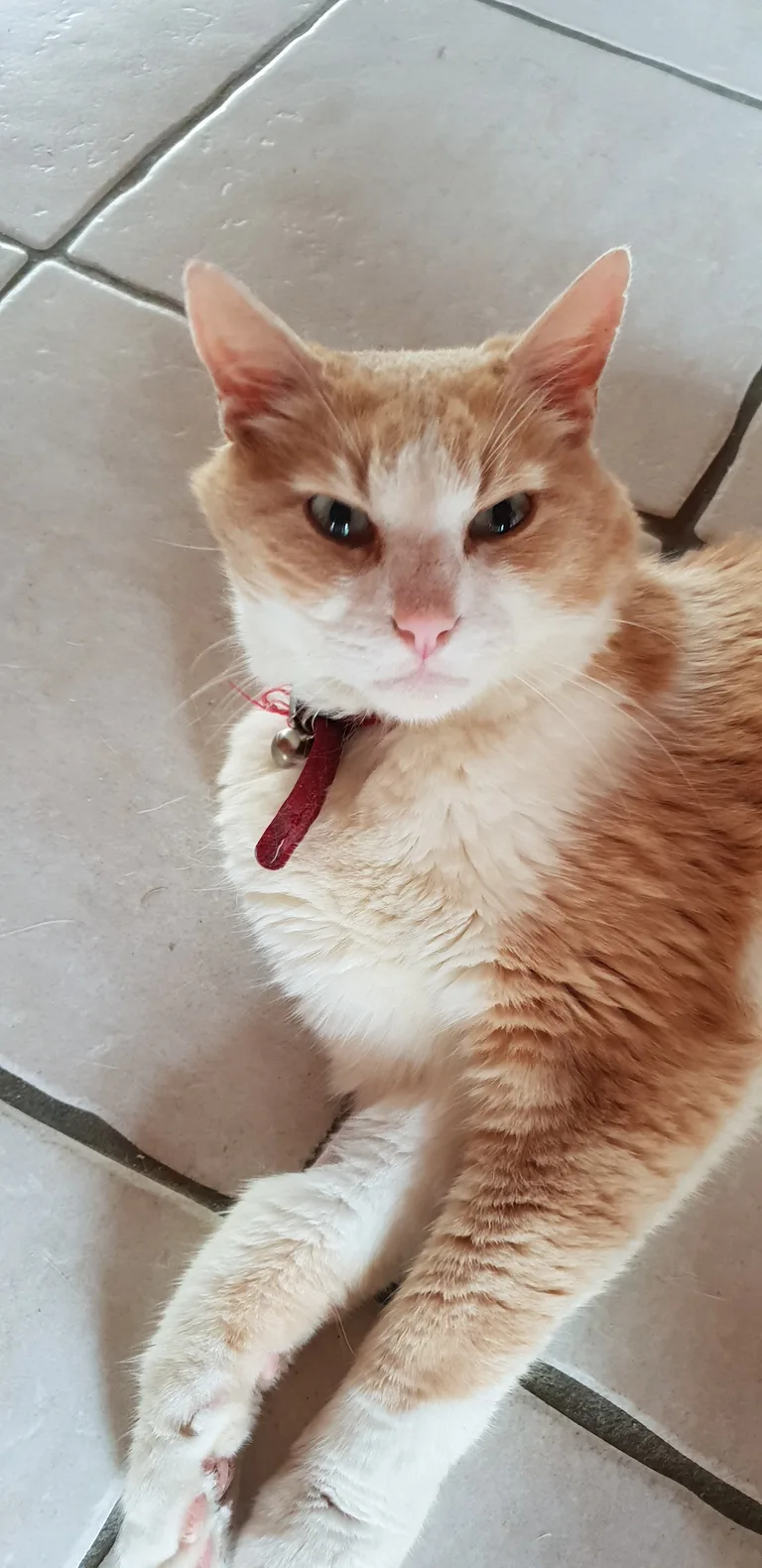 Oscar