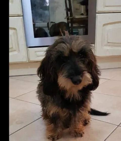 nina