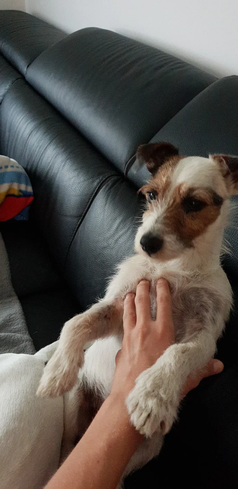 Hutch