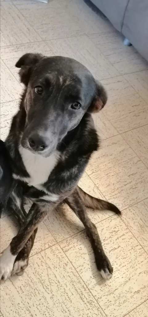 Nashka