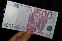 Chien trouvé Anglo-Français Tricolore