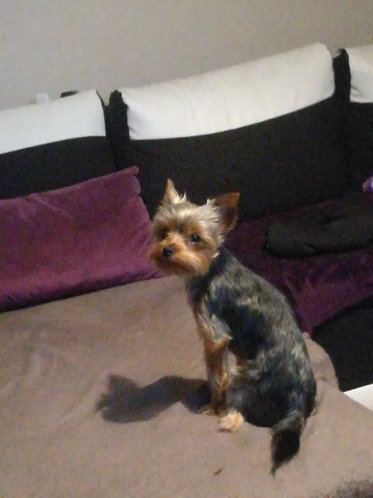 Opale