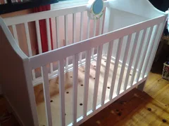 Chien perdu Epagneul Breton