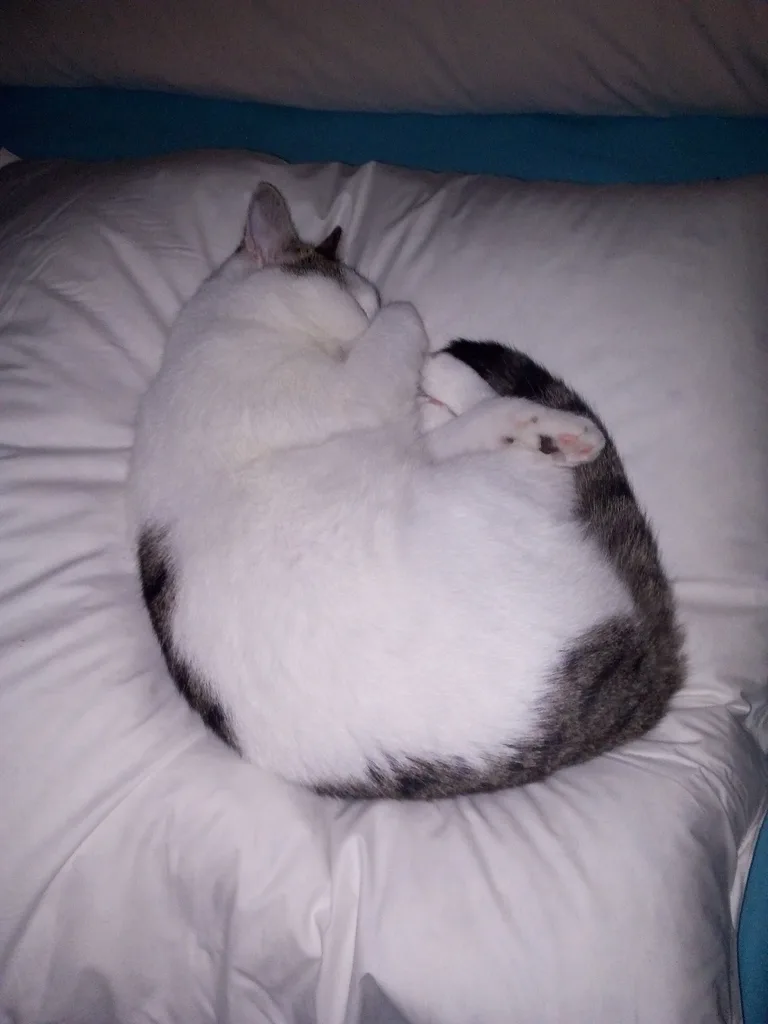 Lili