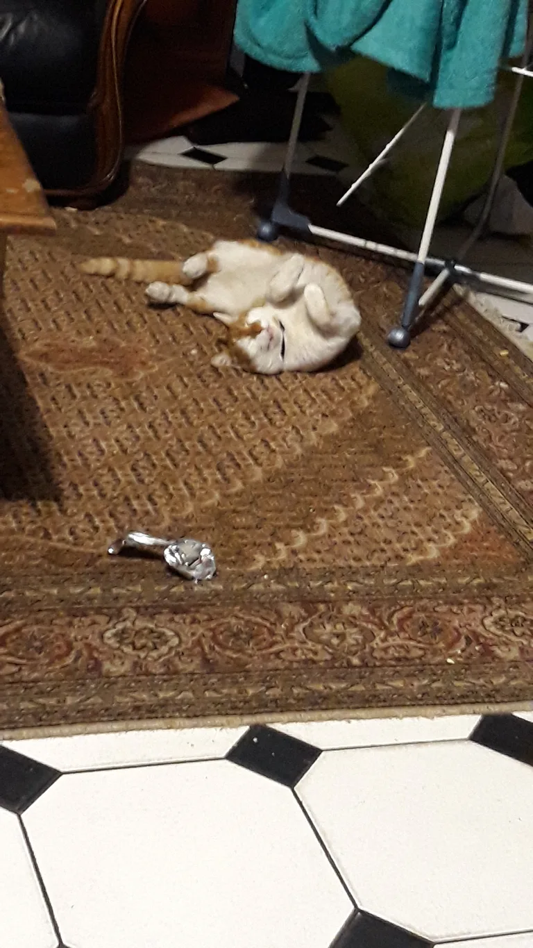 Oscar