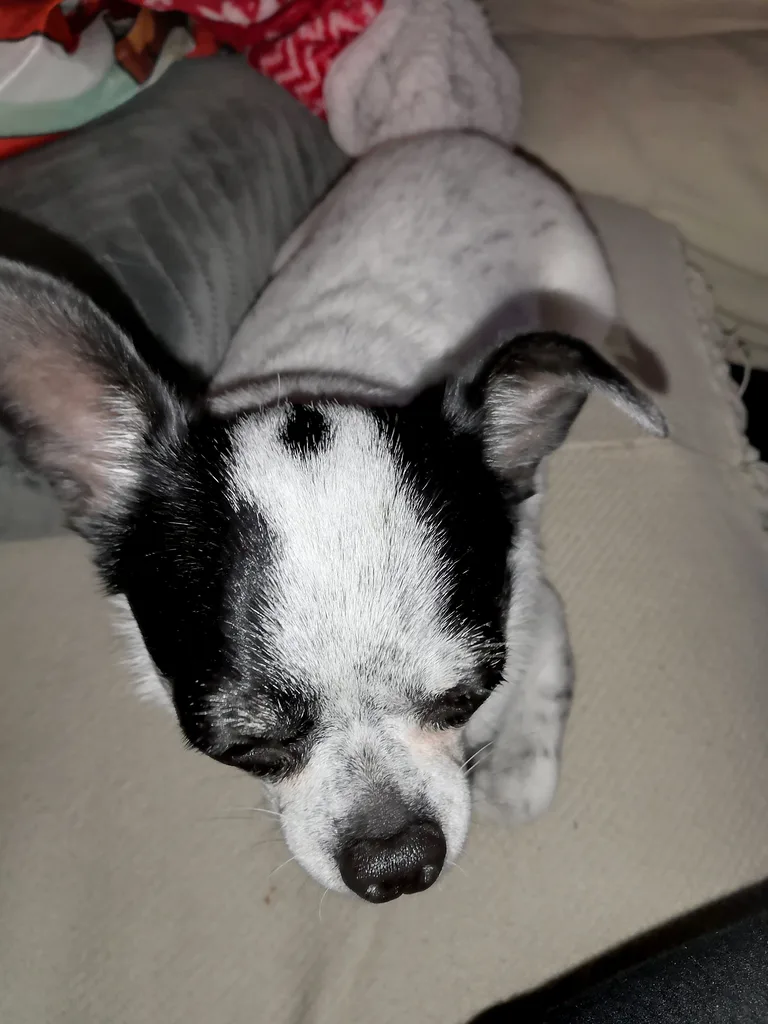 Milou