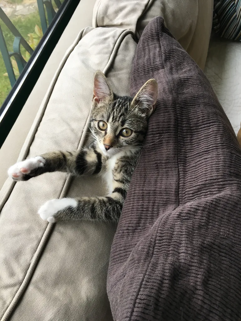 PHOEBE