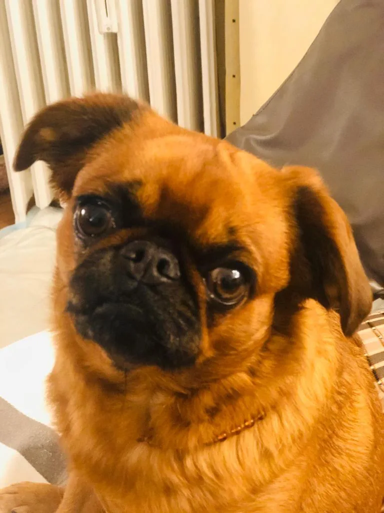 Lola