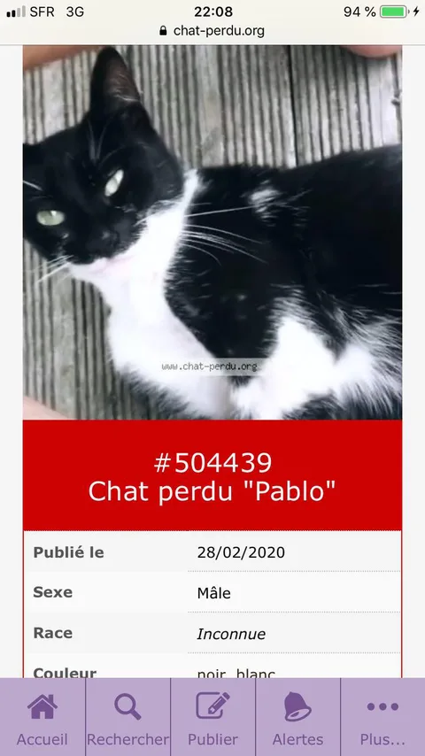 Pablo