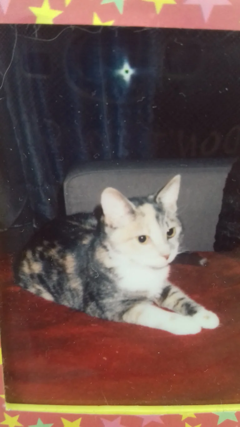 Kira