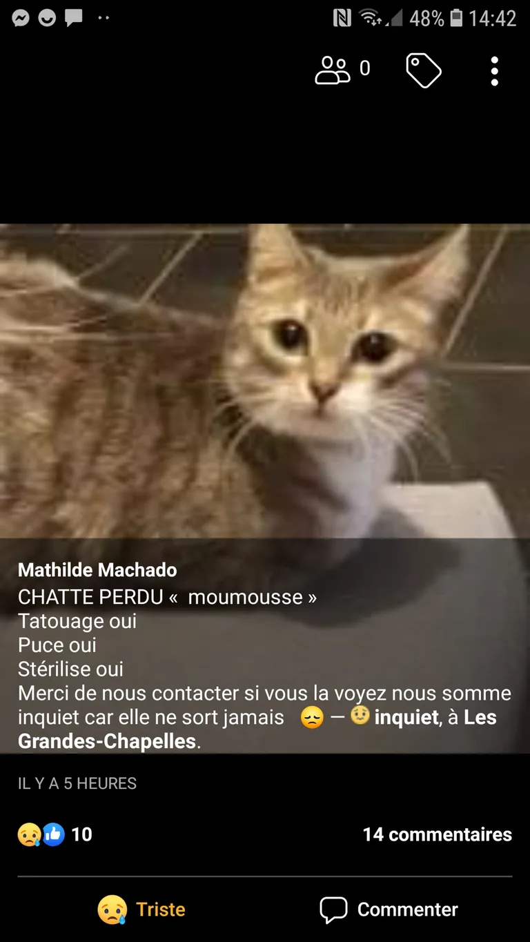 Moumousse