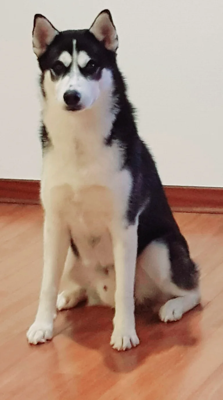 Axel