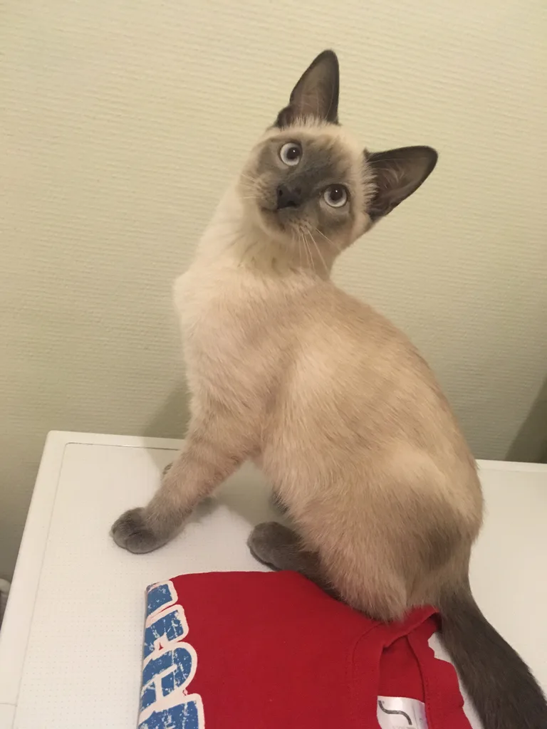 Olaf