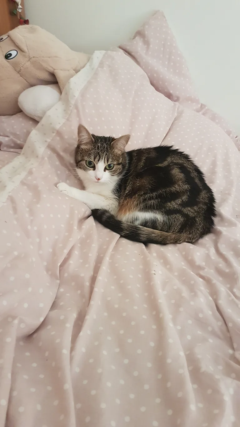 Mia