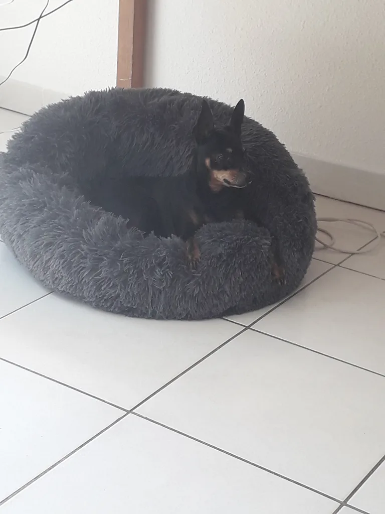 Booba