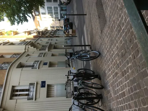 Chat trouvé