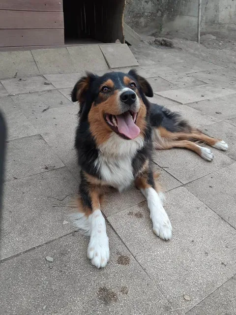 Nalla