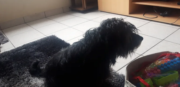Wally