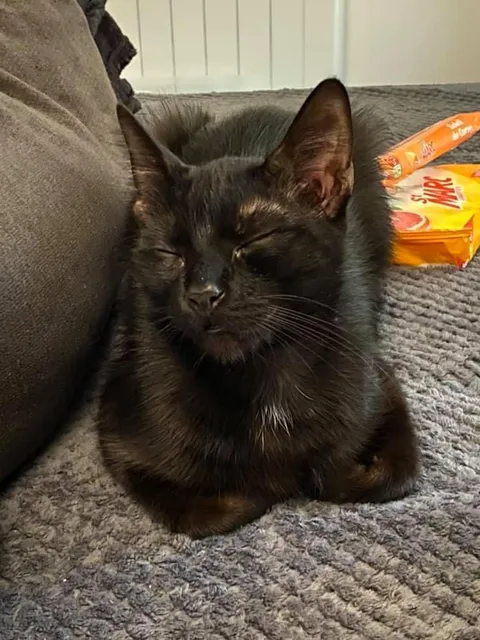 Salem