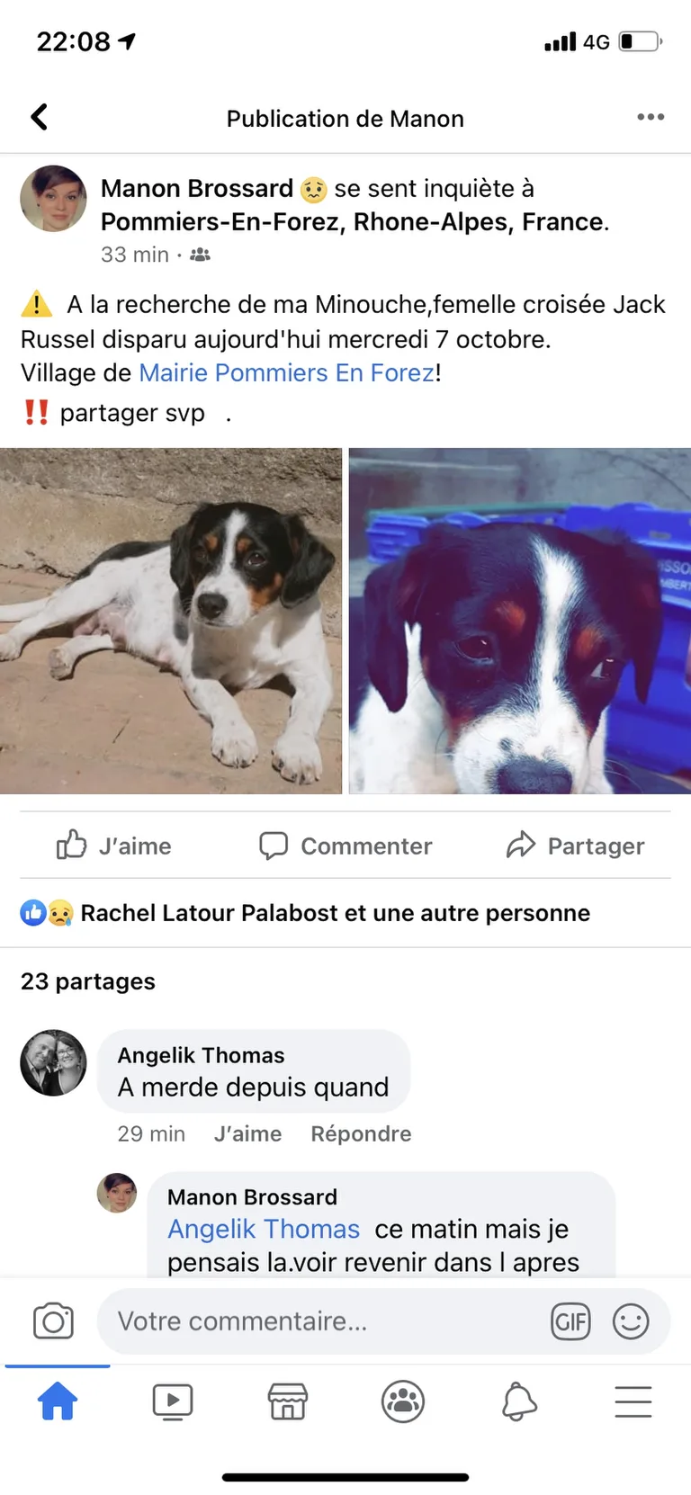 Minouche