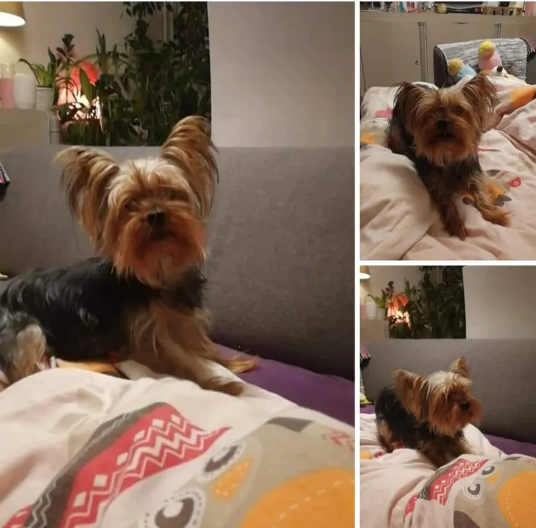 Hanna