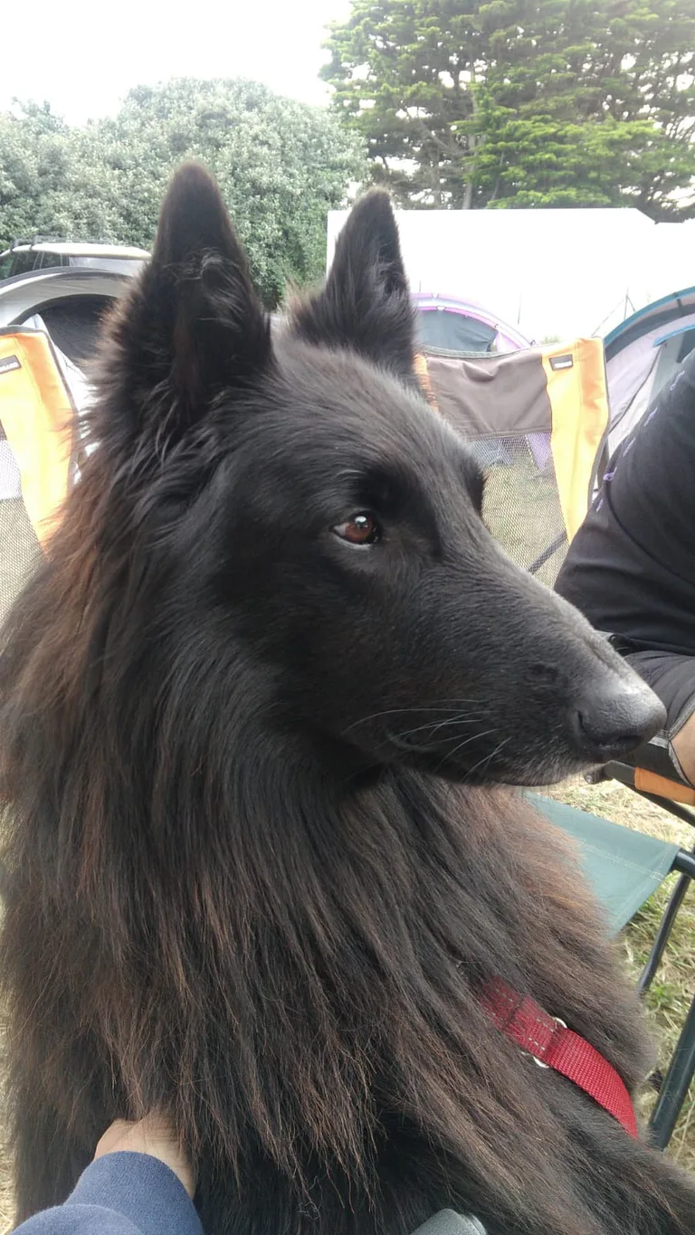 Jack
